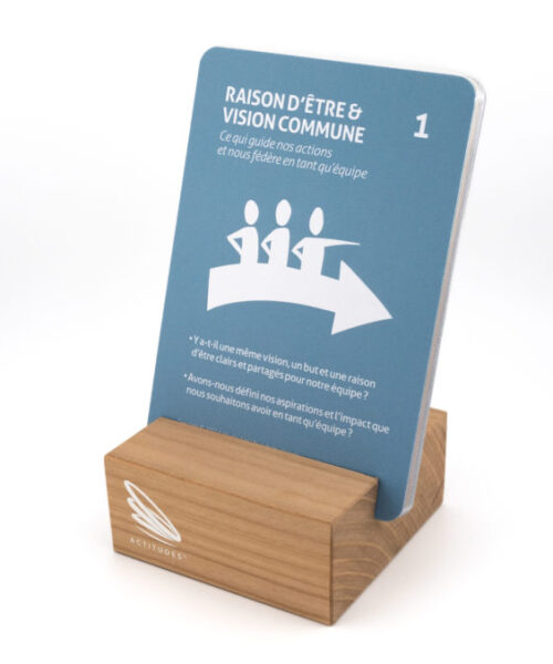 Jeu de cartes "Les équipes durables"