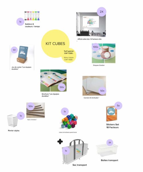 KIT Cubes de Facilitation