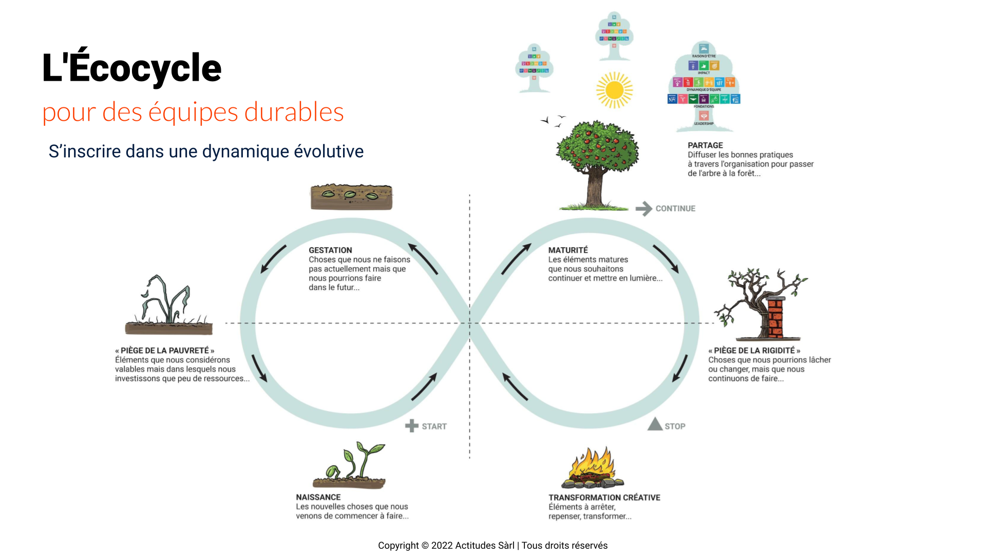 L’Écocycle des équipes durables: S’inscrire dans une dynamique évolutive